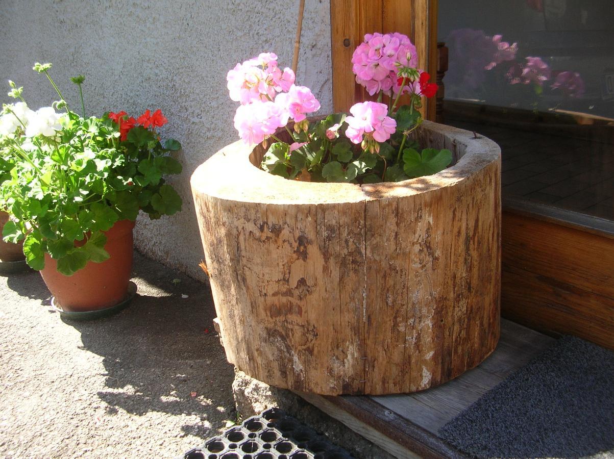 Garnì Serena Canazei Ngoại thất bức ảnh